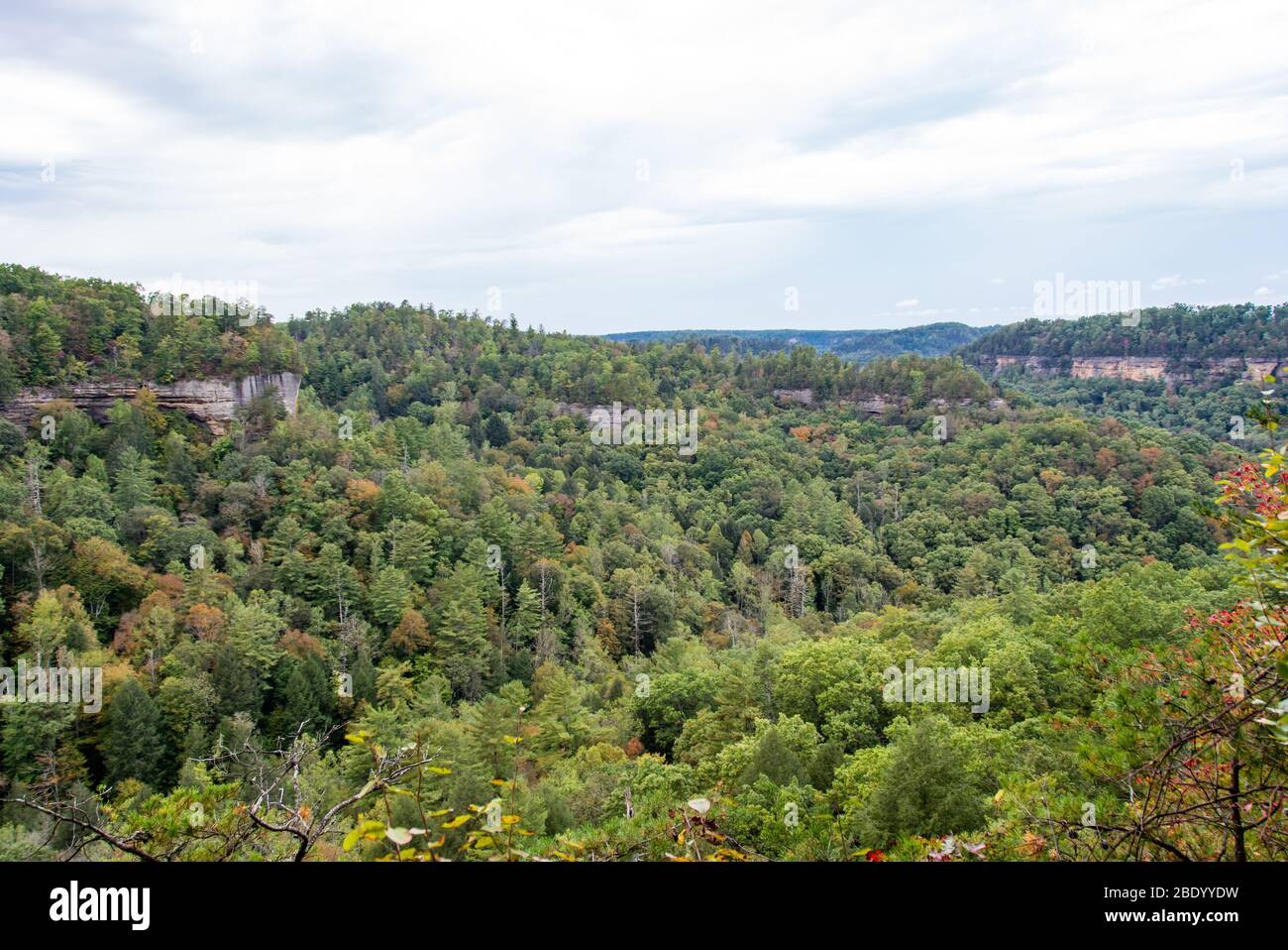 Red River Geological Area in Kentucky Stock Photo Alamy