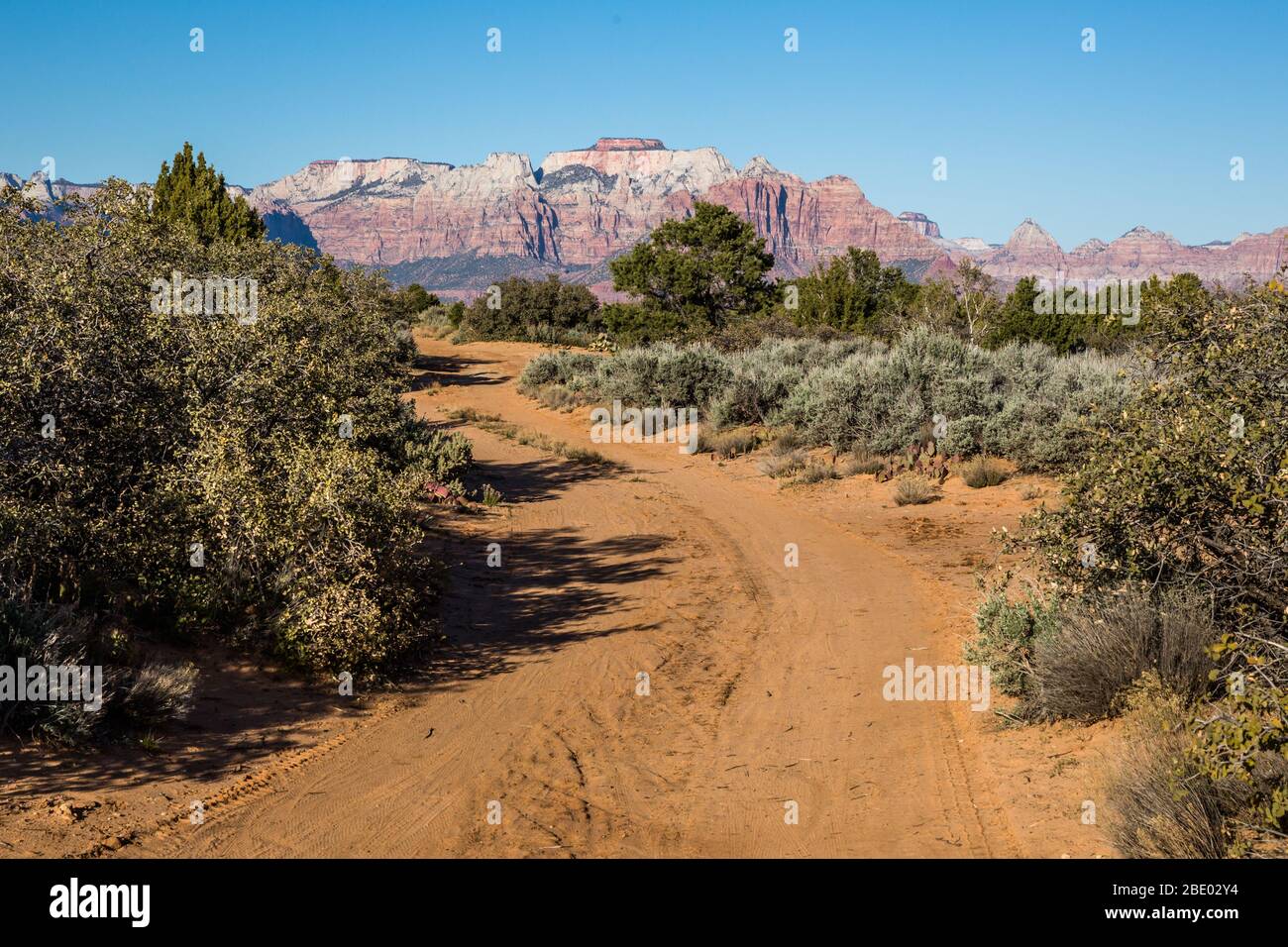 A narrow dirt road leads through sagebrush and pinyon pines toward tall sandstone cliffs of pink and red rock. Stock Photo