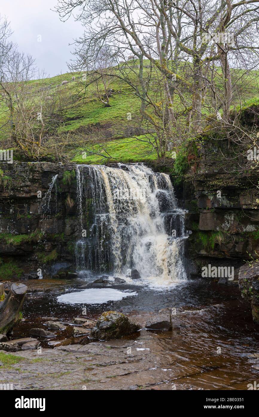 East Gill Force below Keld, Swaledale, North Yorkshire, England, UK Stock Photo