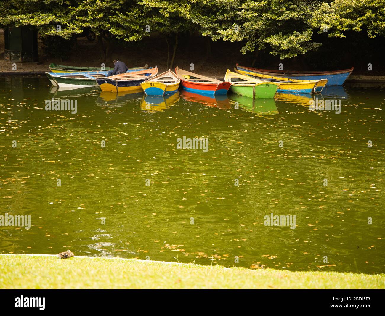 Colourful painted row boats moored in peaceful gardens at Santuário do Bom Jesus do Monte Tenões, outside the city of Braga, in northern Portugal. Stock Photo
