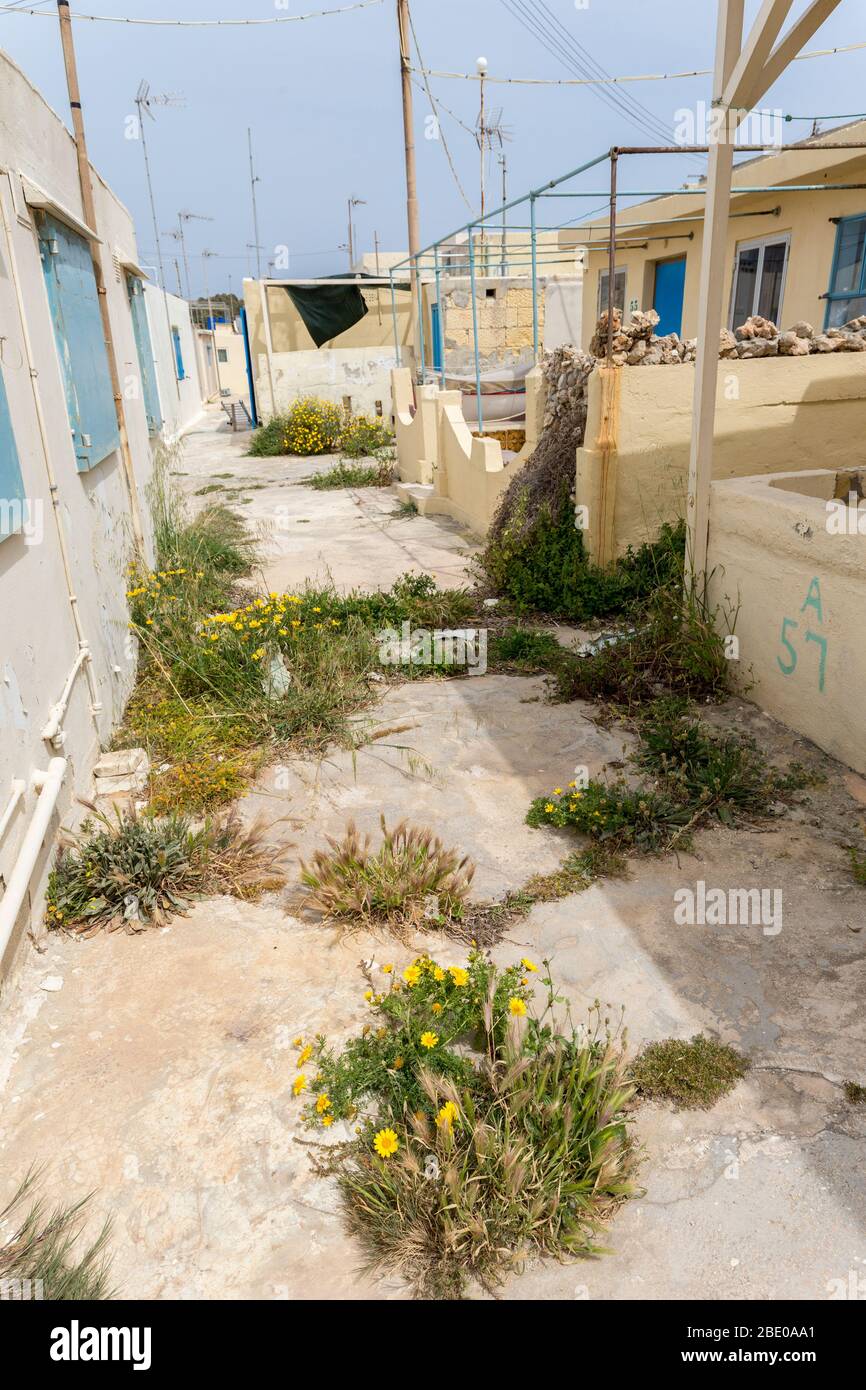 Overgrown path between houses, Little Armier Bay, Ramla tat-Torri, Malta Stock Photo