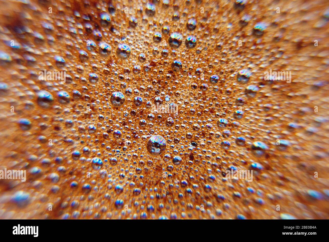 abstract black coffee foam background Stock Photo