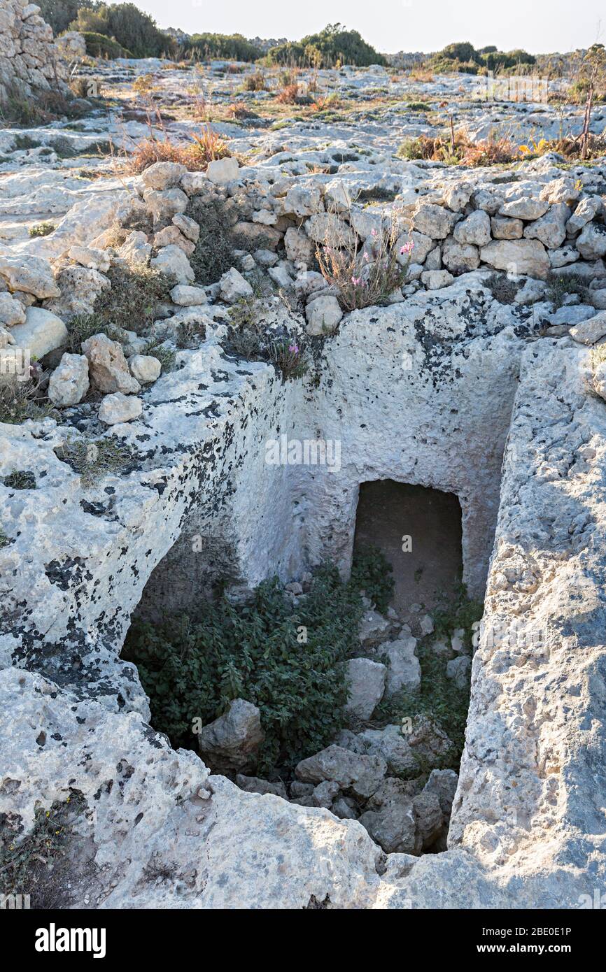 Sokinish bilan Skype porno