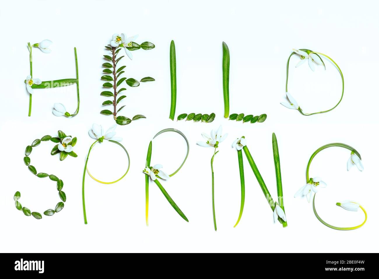 Text made from green leaves, hello Spring.Spring mood. Stock Photo