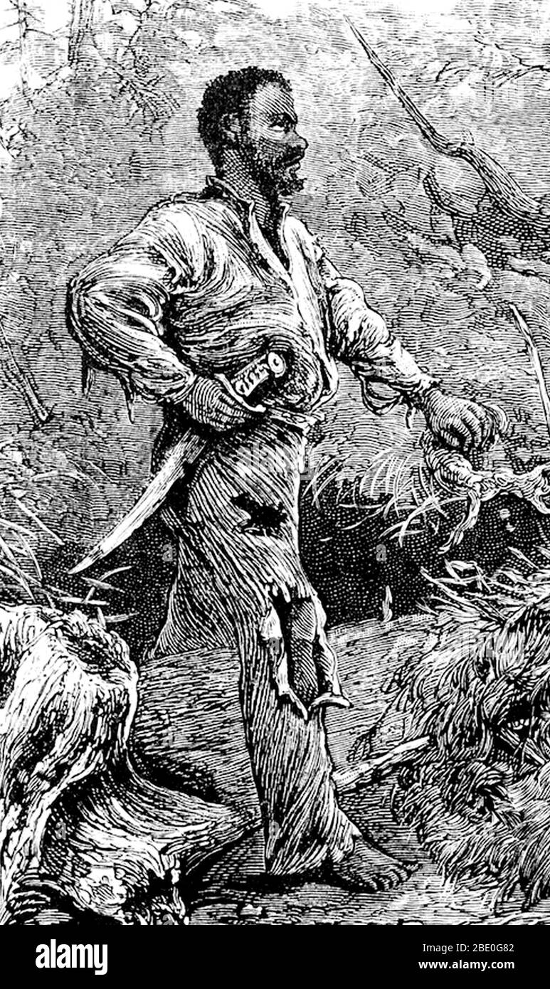 Nat Turner (October 2, 1800 - November 11, 1831) was an enslaved African-American mystical preacher who led a rebellion of both enslaved and free black people in Southampton County, Virginia, beginning August 21, 1831. Rebel slaves killed from 55 to 65 people, at least 51 being white. The rebellion was put down within a few days, but Turner survived in hiding for more than two months afterwards. When found, he was tried, convicted, sentenced to death, hanged and possibly beheaded. African-Americans have generally regarded Turner as a hero of resistance, who made slaveowners pay for the hardshi Stock Photo