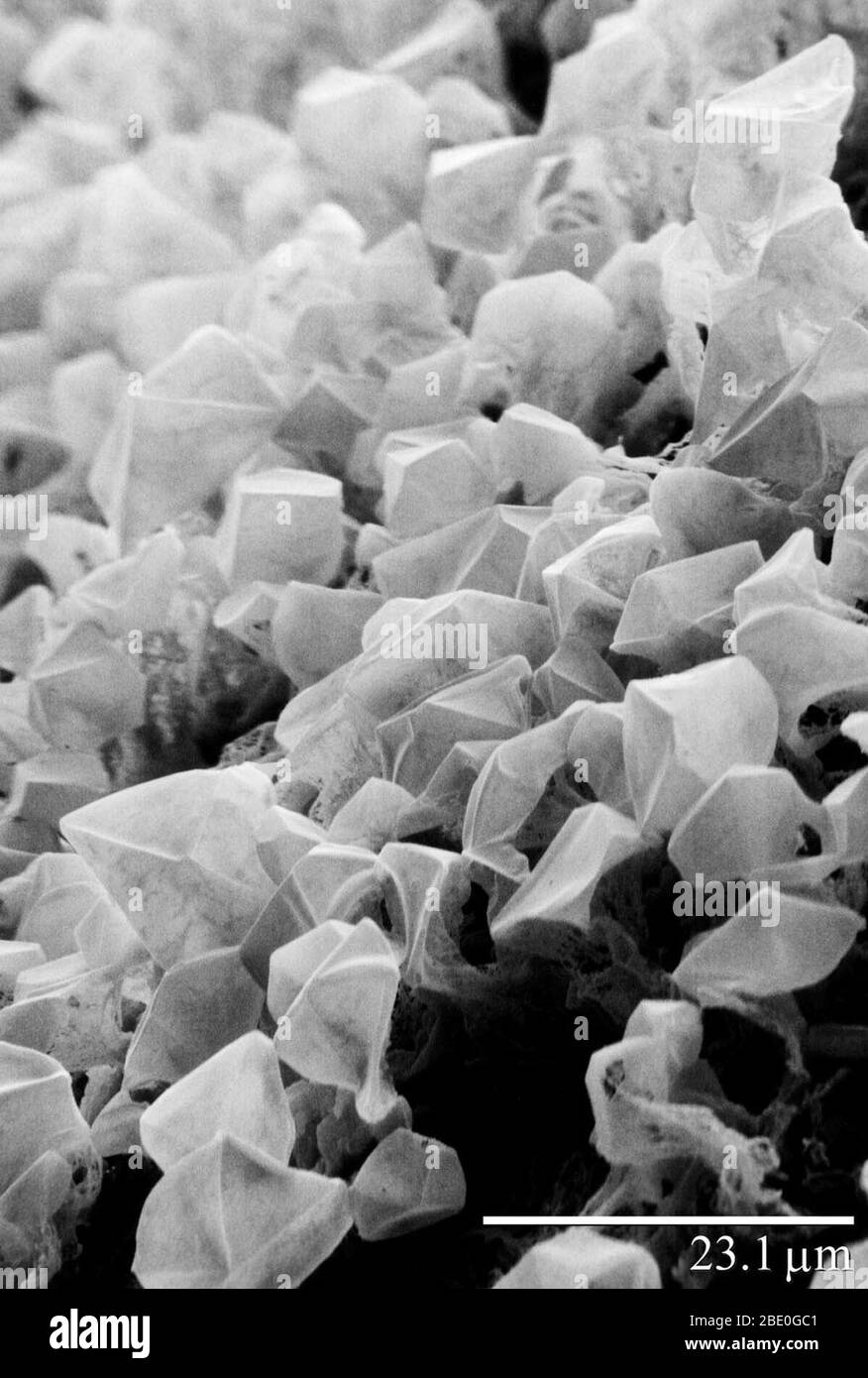 Carbon dioxide (CO2) ice/frost on Mars. Image was obtained using a Low Temperature Scanning Electron Microscope (LT-SEM). Stock Photo