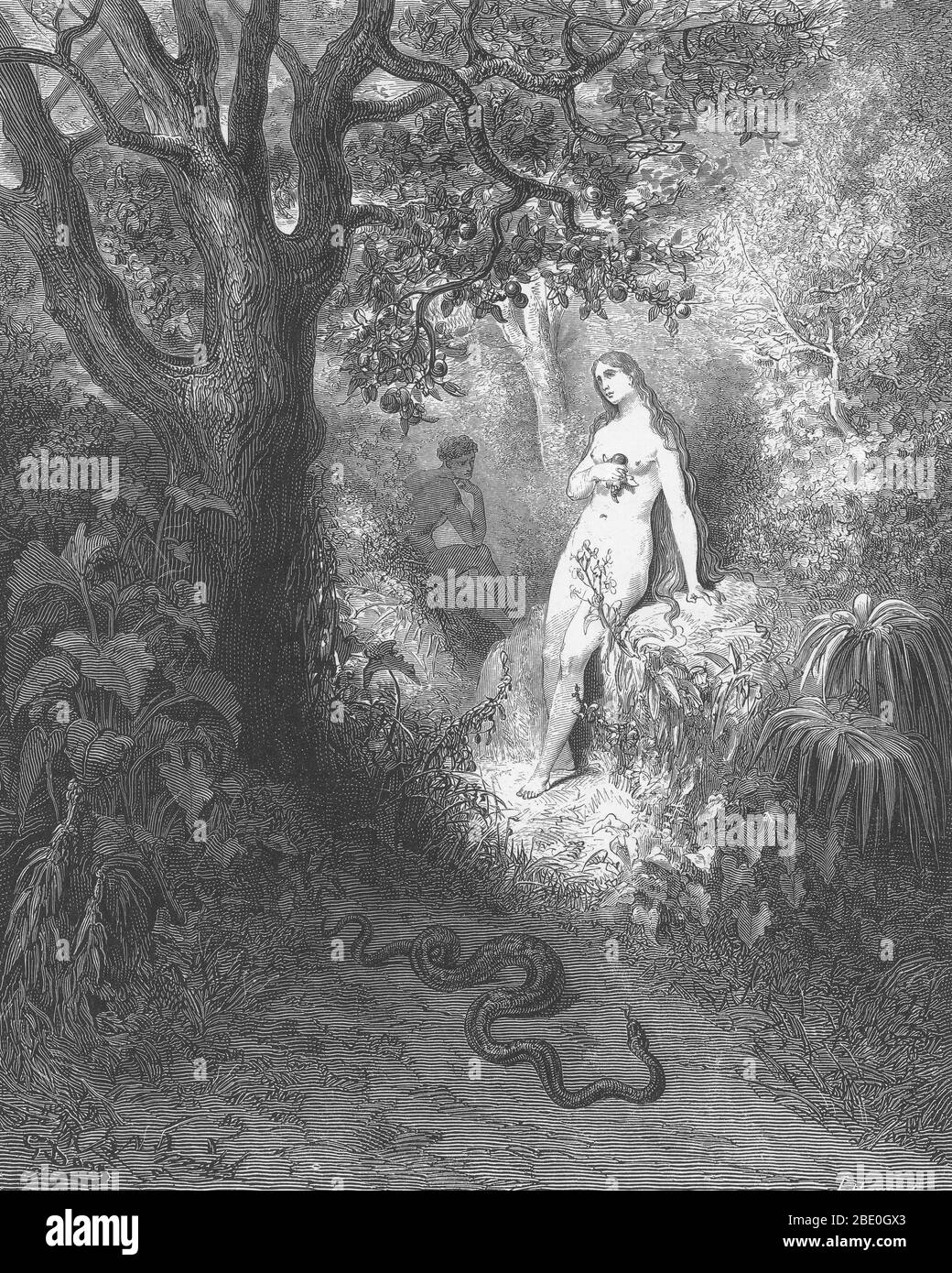 Illustration of Adam and Eve and the snake by Gustave Dore for John Milton's Paradise Lost, Book 9, lines 784-85: 'Back to the thicket slunk / The guilty serpent.' Stock Photo