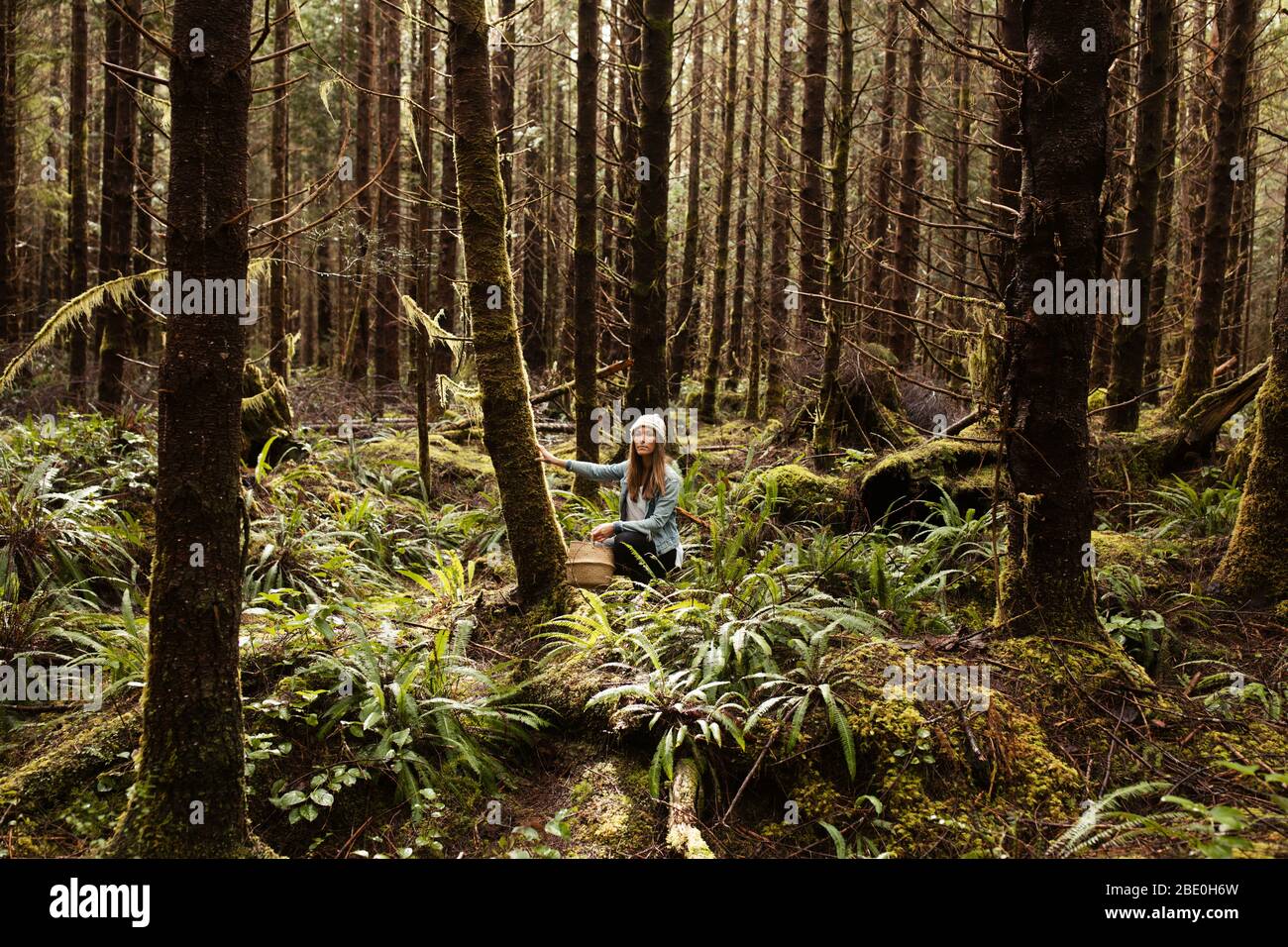 Beautiful woman forages in the rainforest near Tofino Stock Photo