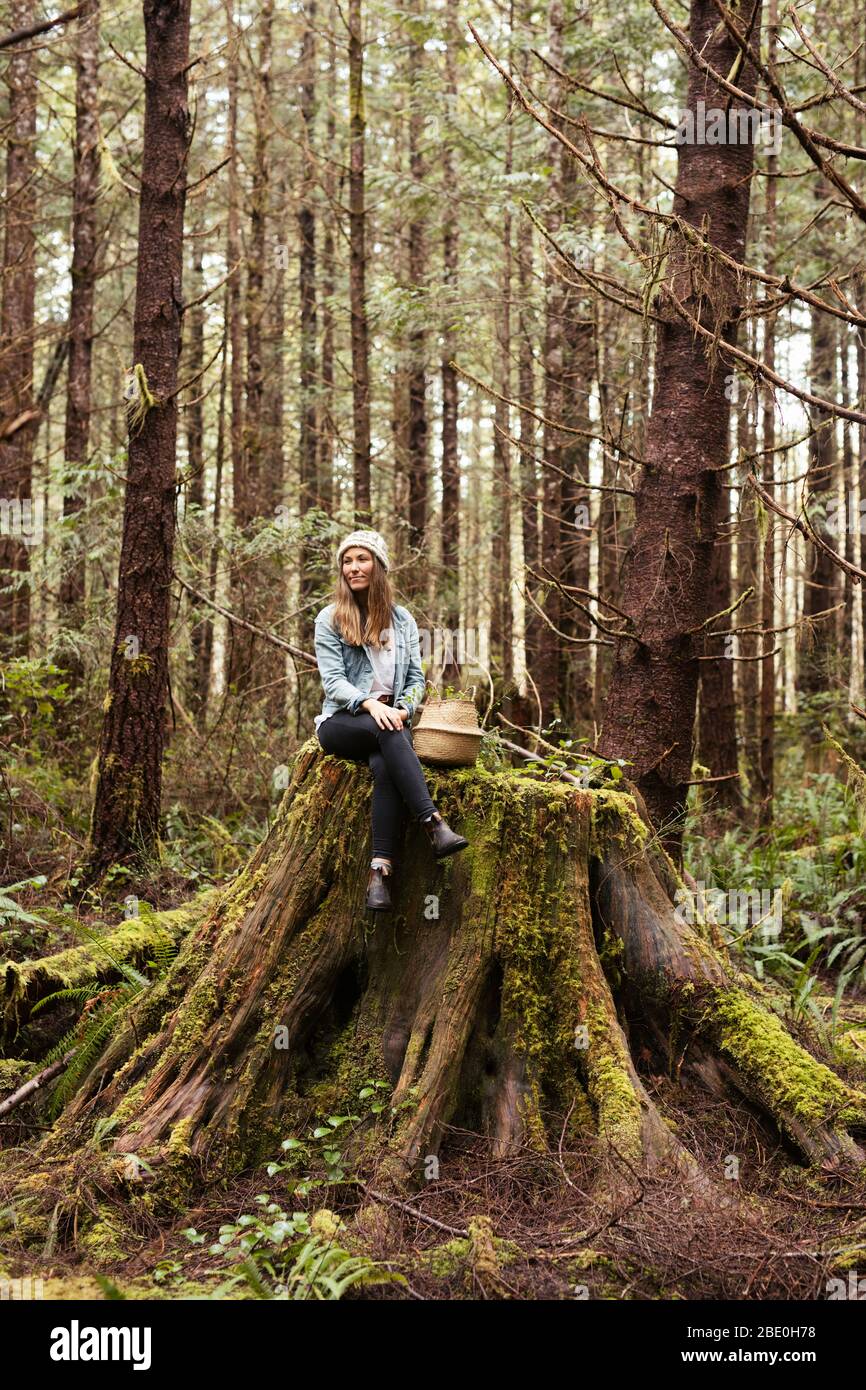 Beautiful woman forages in the rainforest near Tofino Stock Photo