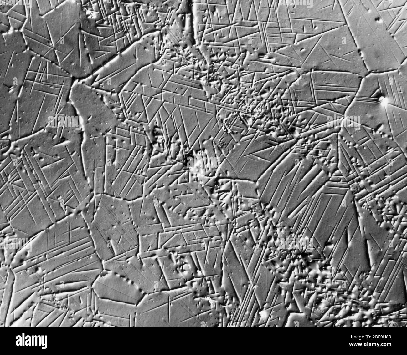Scanning Electron Micrograph (SEM) showing sigma-phase crystallization in steel. Magnification: 500X at 8x10'. Nomarski interference contrast method. Stock Photo