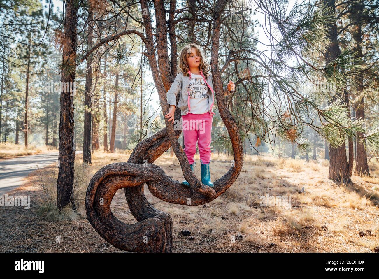 Girl in rubber boots and sweatpants climbing pine tree in forest Stock Photo