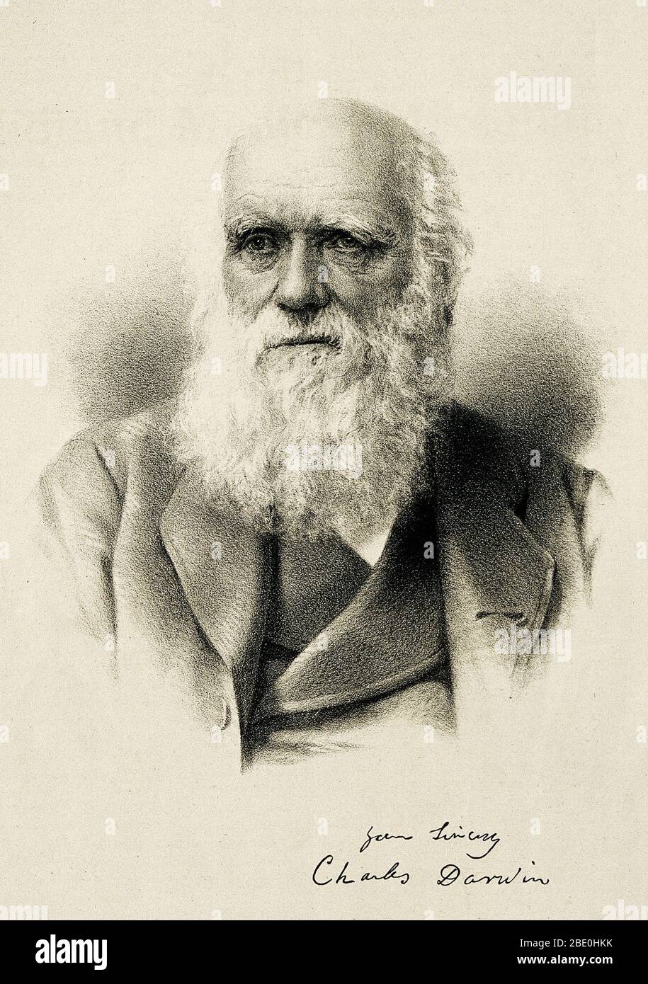 Charles Robert Darwin (February 12, 1809 - April 19, 1882) was an English naturalist, geologist and biologist. Studies at the University of Cambridge encouraged his passion for natural science. Puzzled by the geographical distribution of wildlife and fossils he collected on the five-year voyage on HMS Beagle, Darwin began detailed investigations and in 1838 conceived his theory of natural selection. Although he discussed his ideas with several naturalists, he needed time for extensive research and his geological work had priority. He was writing up his theory in 1858 when Alfred Russel Wallace Stock Photo
