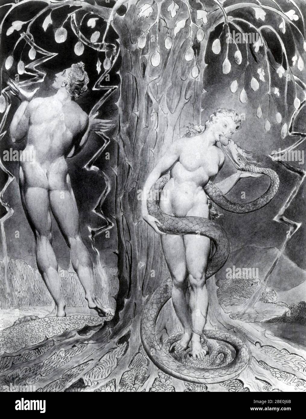 'The Temptation and Fall of Eve' illustrated by William Blake for an 1808 edition of Milton's for 'Paradise Lost'. Paradise Lost is an epic poem in blank verse by the English poet John Milton (December 9, 1608 - November 8, 1674). The poem concerns the Biblical story of the Fall of Man: the temptation of Adam and Eve by the fallen angel Satan and their expulsion from the Garden of Eden. Milton's purpose, stated in Book I, is to 'justify the ways of God to men'. William Blake (November 28, 1757 - August 12, 1827) was an English poet, painter, and printmaker. Largely unrecognized during his life Stock Photo
