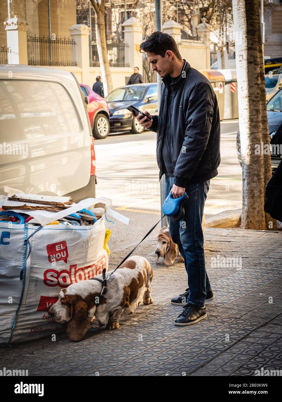 Young man with two dogs looking at his phone in a street in Barcelona. Stock Photo
