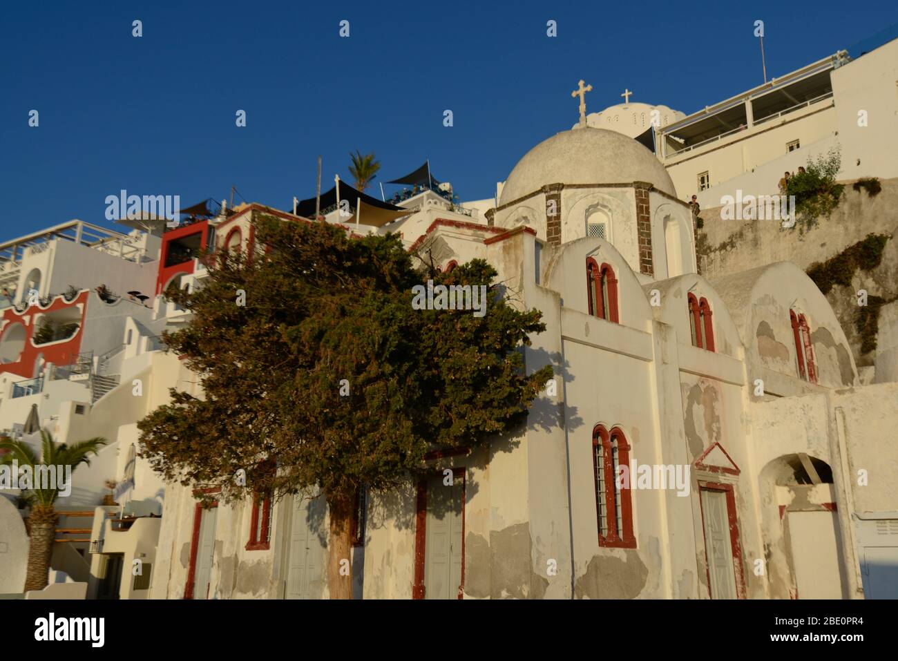White dome church and olive tree in Fira, Santorini, Greece Stock Photo