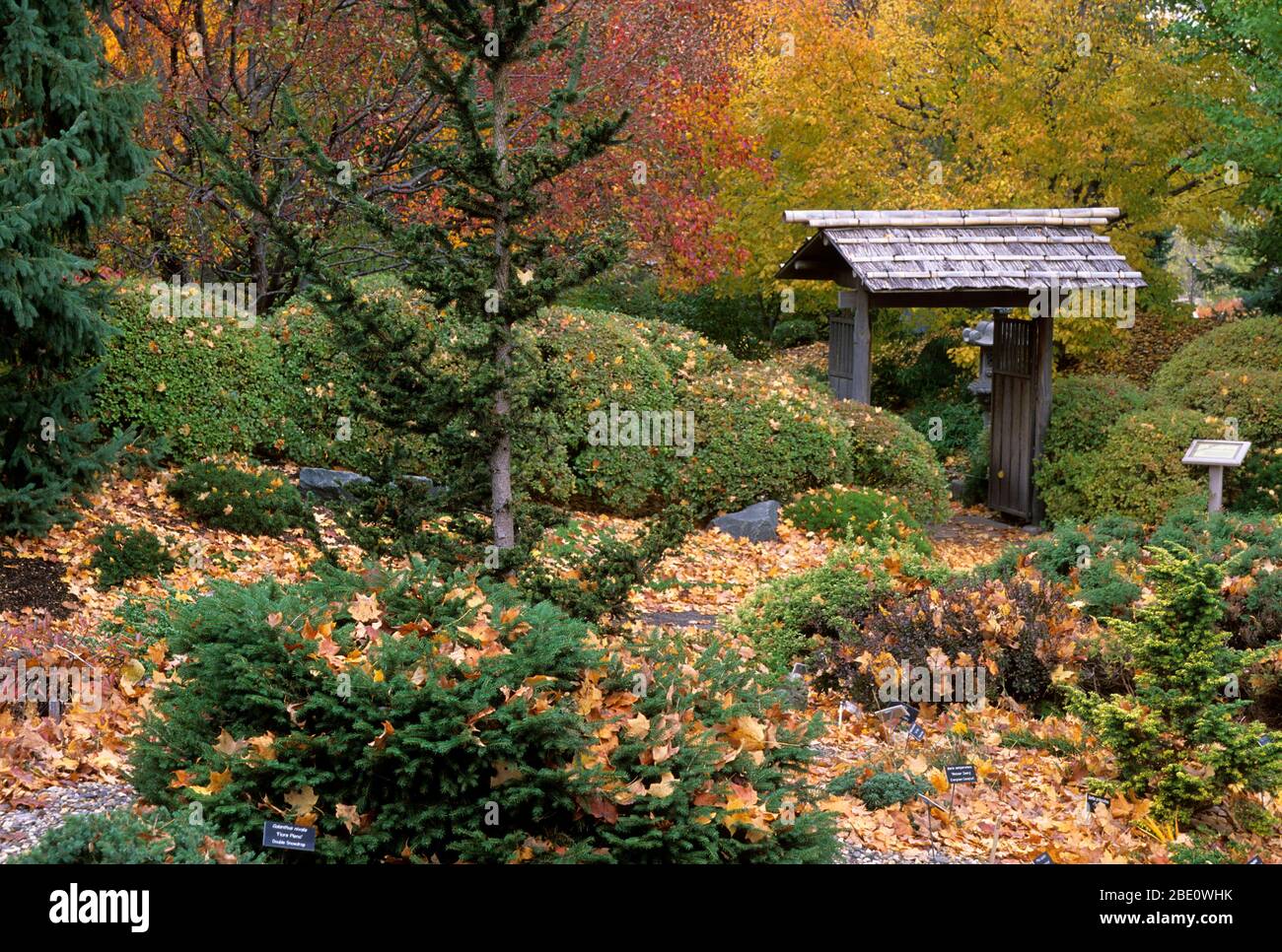 Japanese Garden, Minnesota Landscape Arboretum, Chanhassen, Minnesota