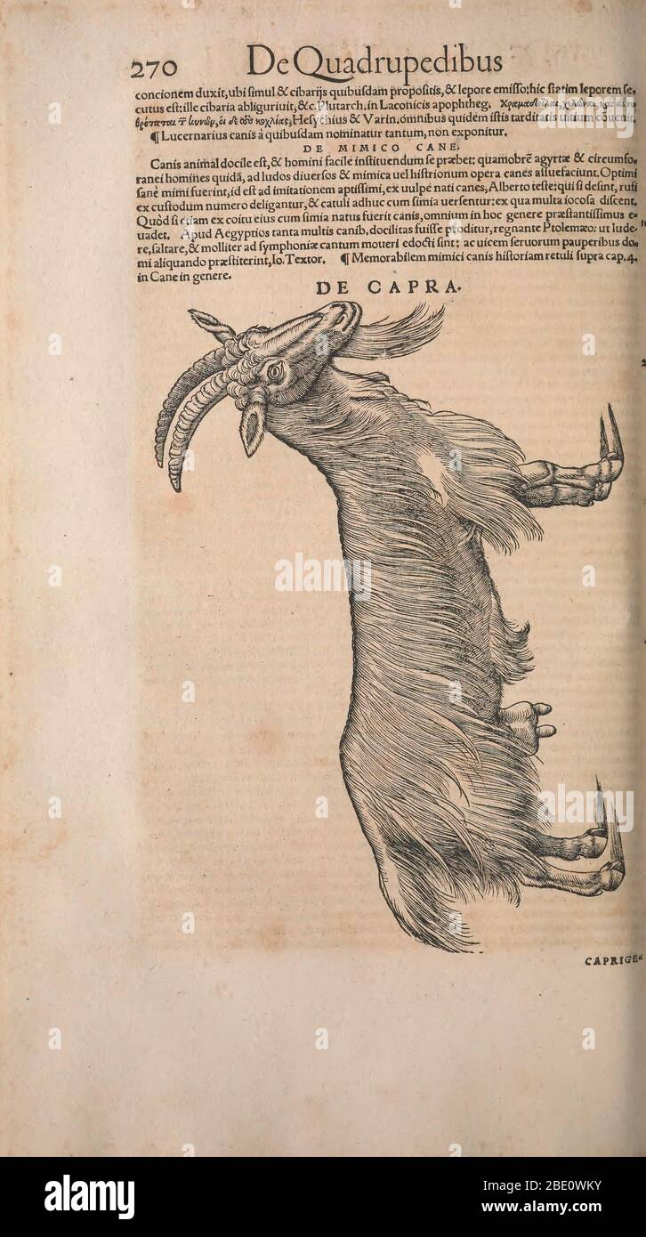 Historia animalium (