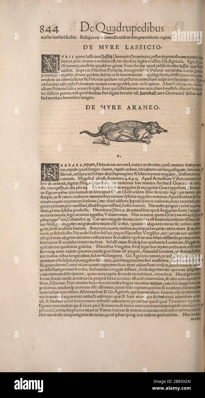 Historia animalium ("History of the Animals"), published in 1551–1558 and 1587, by Conrad Gessner. Stock Photo