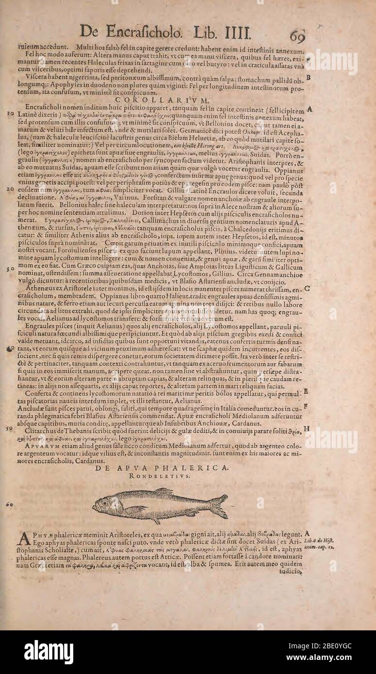 Historia animalium ("History of the Animals"), published in 1551–1558 and 1587, by Conrad Gessner. Stock Photo