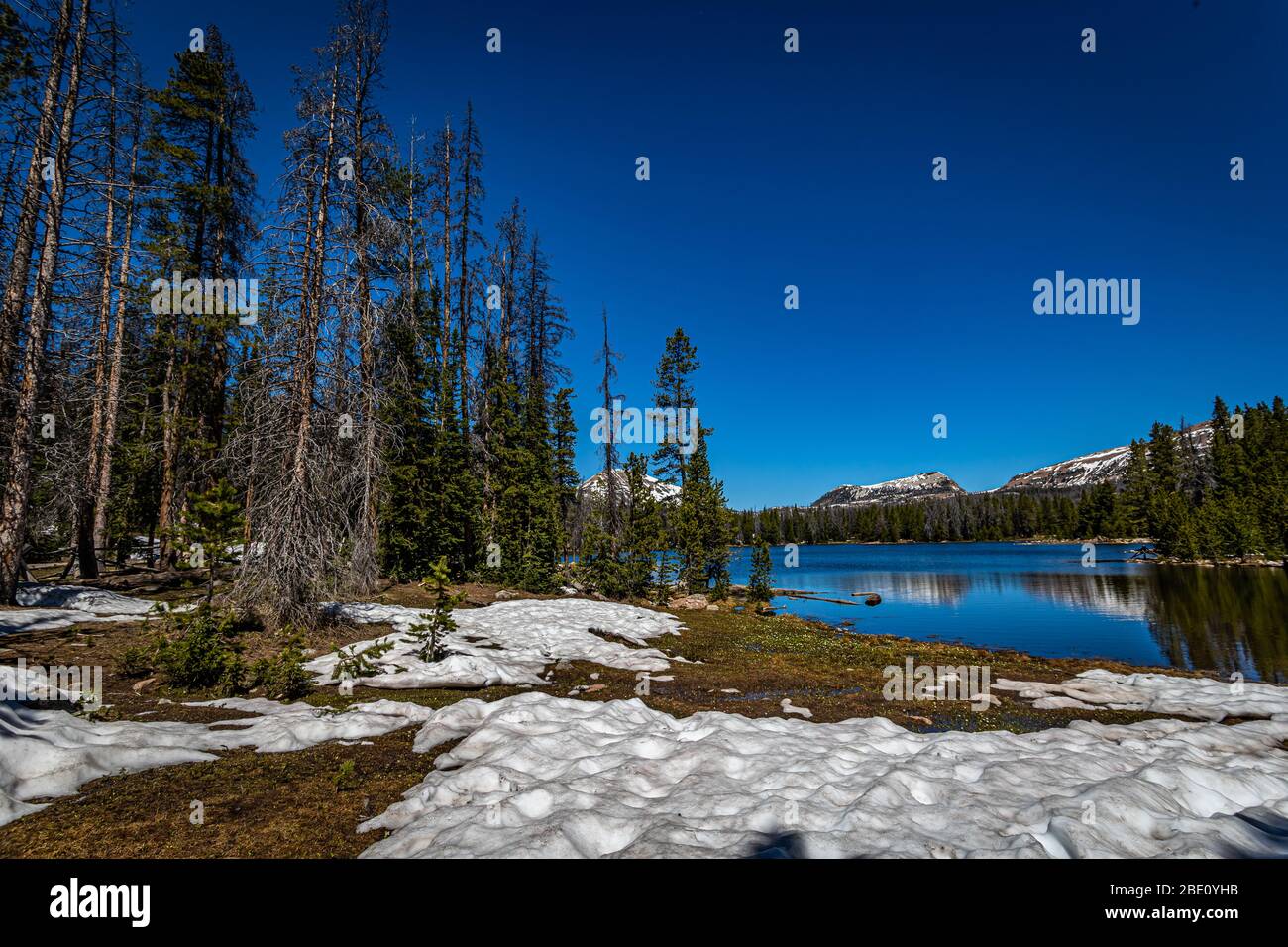 Teapot Lake is along the Mirror Lake Scenic Byway in the Uinta