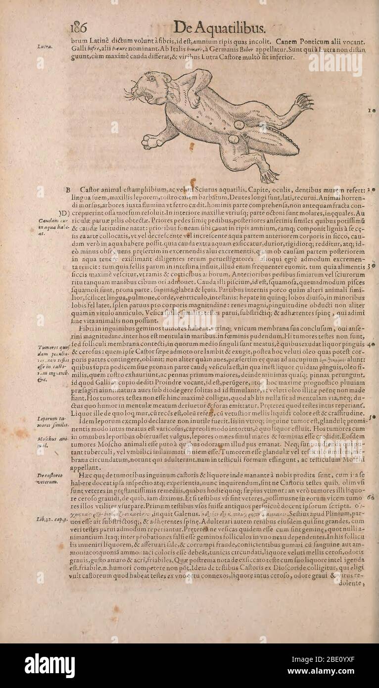 Historia animalium ("History of the Animals"), published in 1551–1558 and 1587, by Conrad Gessner. Stock Photo