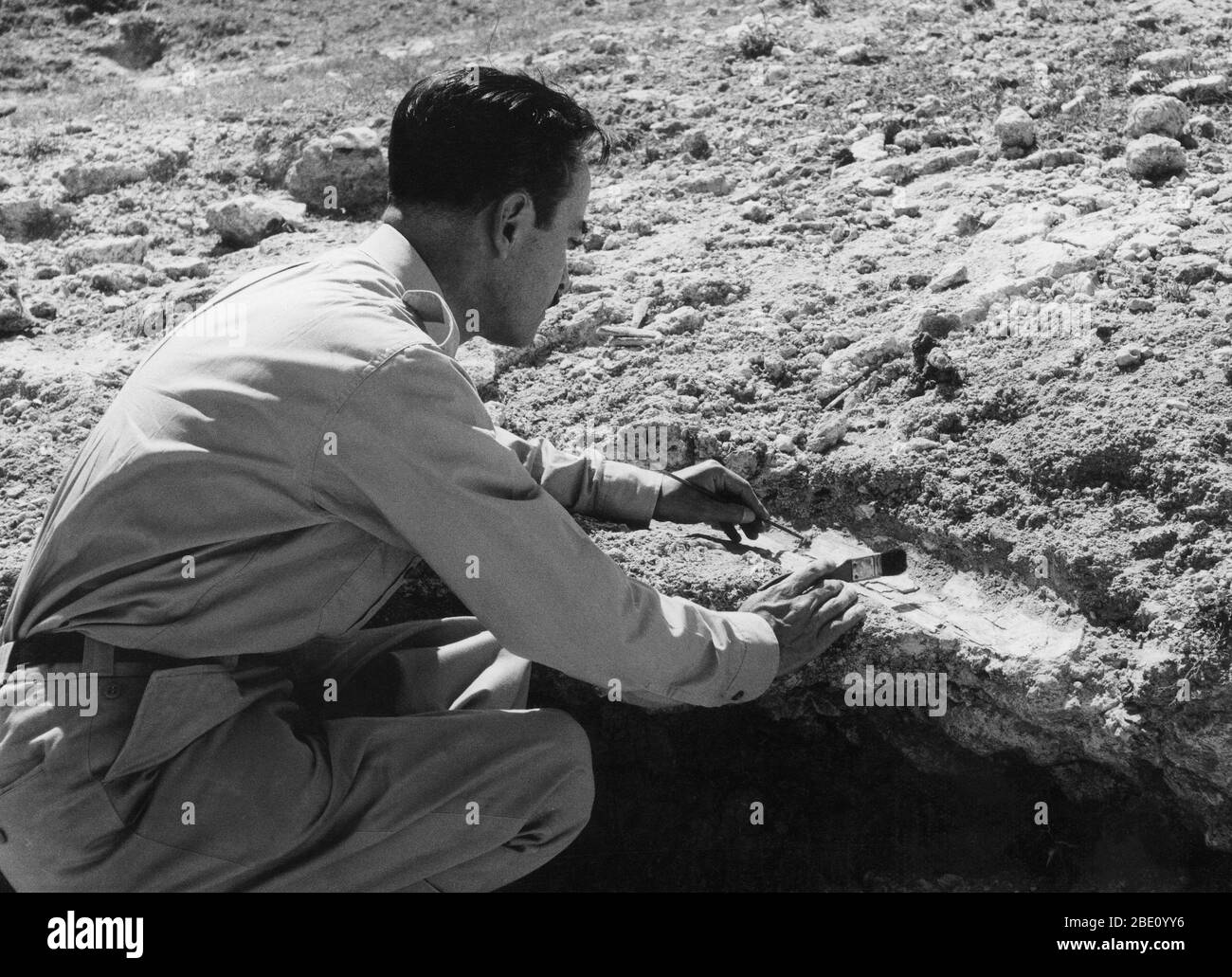 Person paleontologist paleontology Black and White Stock Photos & Images Alamy