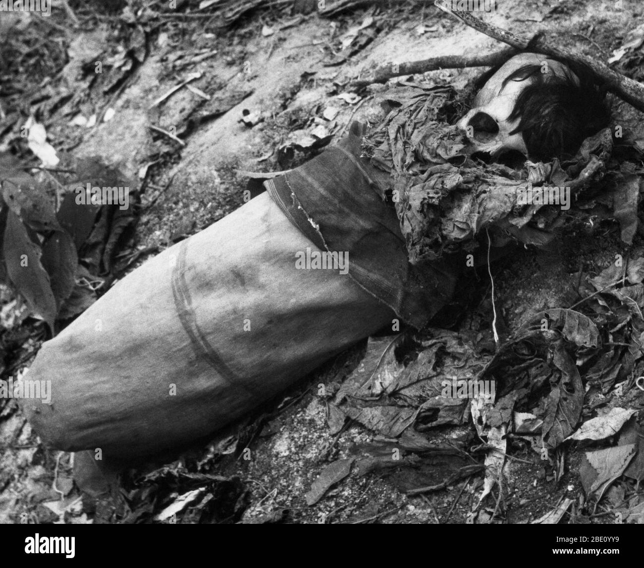 Remains of a Yukpa Indian, Sierra de Perija, Colombia, South America. Stock Photo