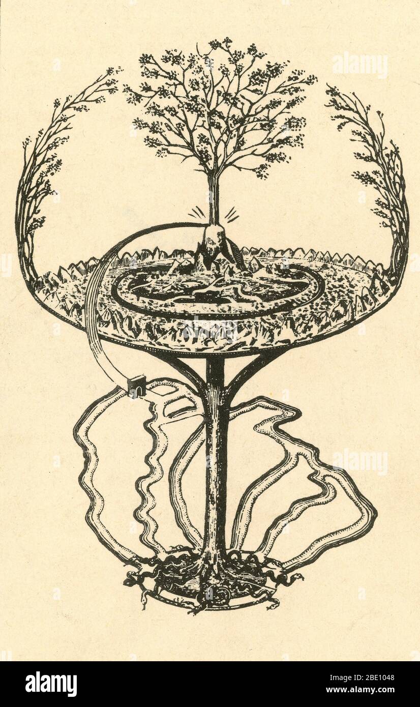 Yggdrasil, the Great Ash Tree, symbolizing the Universe. An is an immense tree that is central in Norse cosmology, in connection to which the nine worlds exist. The ash exudes a sugary substance that, it has been suggested, was fermented to create the Norse Mead of Inspiration. In Norse mythology, the World Tree Yggdrasil is commonly held to be an ash tree, and the first man, Ask, was formed from an ash tree. Elsewhere in Europe, snakes were said to be repelled by ash leaves or a circle drawn by an ash branch. Irish folklore claims that shadows from an ash tree would damage crops. In Cheshire, Stock Photo