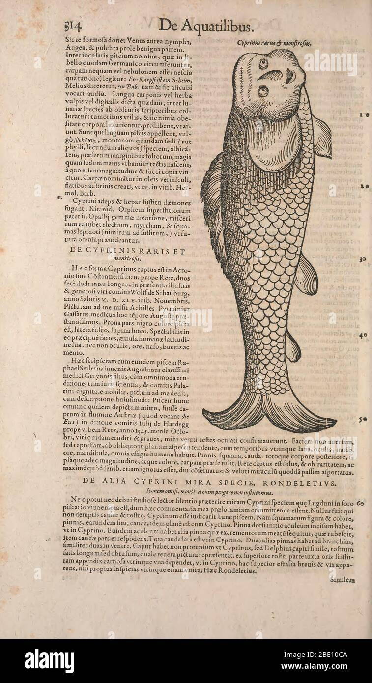 Historia animalium ("History of the Animals"), published in 1551–1558 and 1587, by Conrad Gessner. Stock Photo