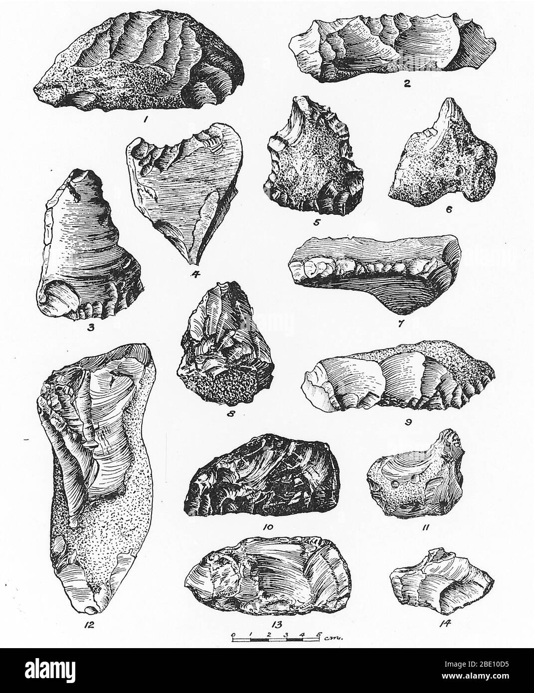 Eoliths from France, Belgium and England. An eolith is a chipped flint nodule. Eoliths were once thought to have been artifacts, the earliest stone tools, but are now believed to be naturally produced by geological processes such as glaciation. Stock Photo