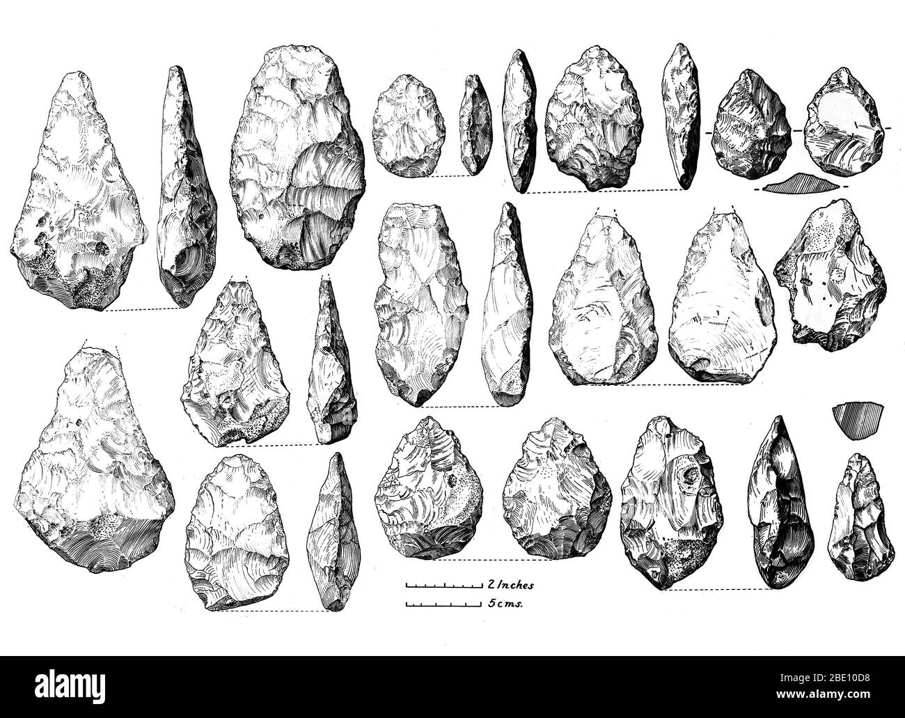 Acheulean bifacial tools (hand-axes) from Burnham Beeches, Bucks. Upper Boyn Hill Terrace. Acheulean is an archaeological industry of stone tool manufacture characterized by distinctive oval and pear-shaped 'hand-axes' associated with early humans. Acheulean tools were produced during the Lower Paleolithic era. The Lower Paleolithic is the earliest subdivision of the Paleolithic or Old Stone Age. It spans the time from around 2.5 million years ago when the first evidence of craft and use of stone tools by hominids appears in the current archaeological record, until around 300,000 years ago. Stock Photo