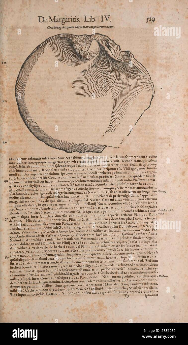 Historia animalium ("History of the Animals"), published in 1551–1558 and 1587, by Conrad Gessner. Stock Photo