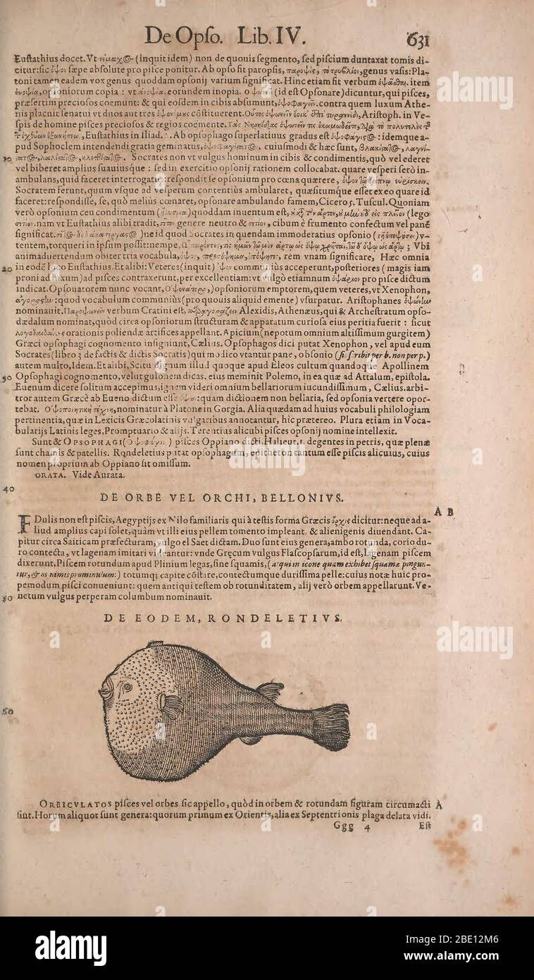 Historia animalium ("History of the Animals"), published in 1551–1558 and 1587, by Conrad Gessner. Stock Photo