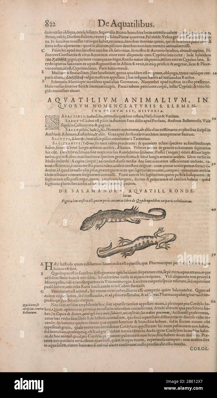 Historia animalium ("History of the Animals"), published in 1551–1558 and 1587, by Conrad Gessner. Stock Photo