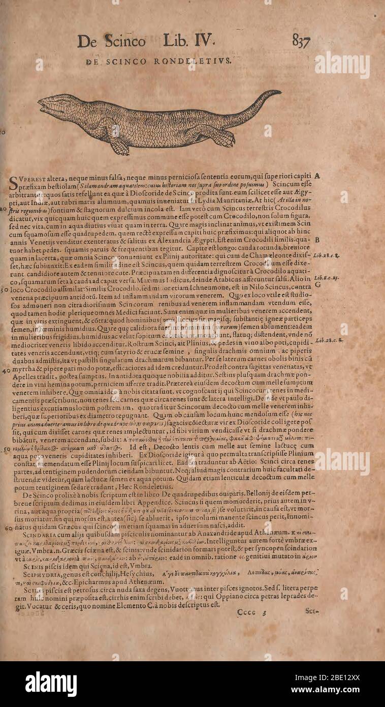 Historia animalium ("History of the Animals"), published in 1551–1558 and 1587, by Conrad Gessner. Stock Photo