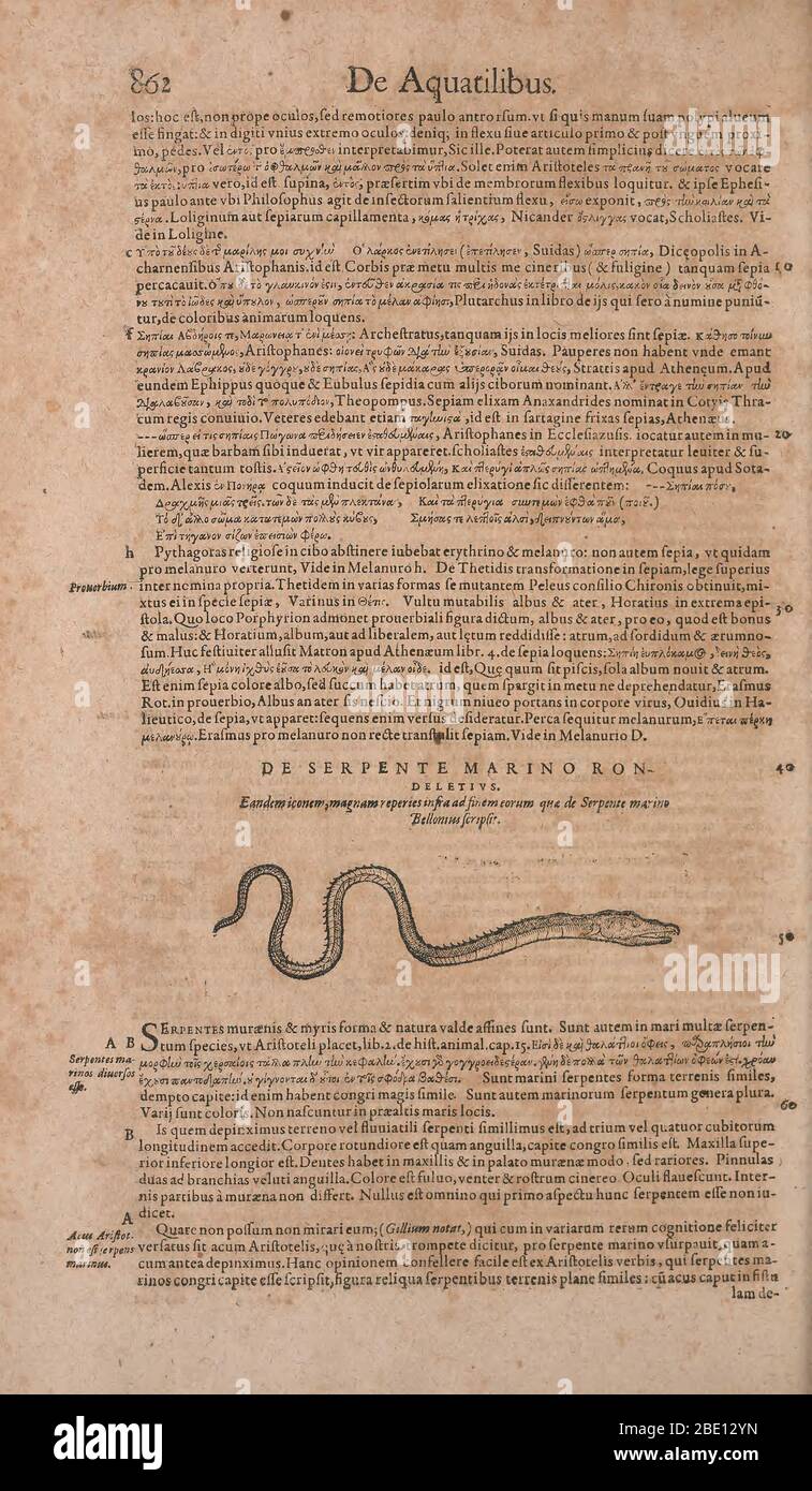 Historia animalium ("History of the Animals"), published in 1551–1558 and 1587, by Conrad Gessner. Stock Photo