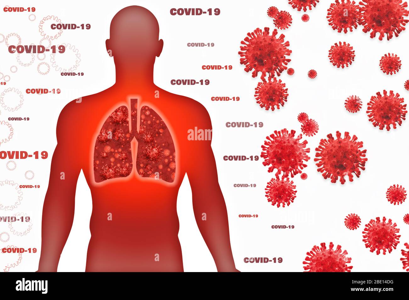 Human body illustration. Lungs COVID 19 Coronaviruses (CoV) are a large family of viruses that cause illness ranging from the common cold Stock Photo