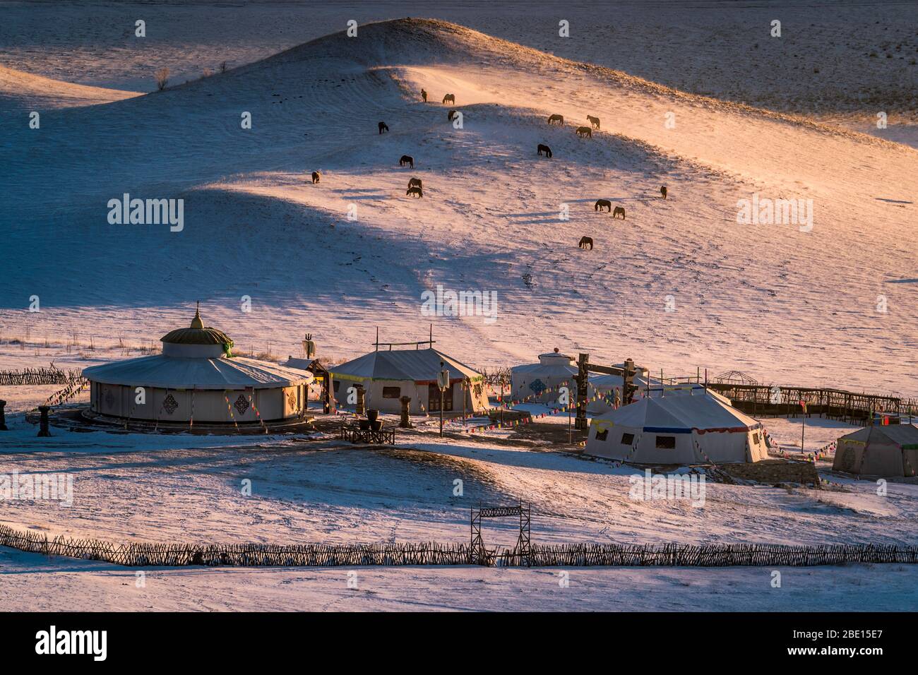 Mongolian gers(yurts) on frozen snow field of Gobi desert, in the morning sun light. Stock Photo