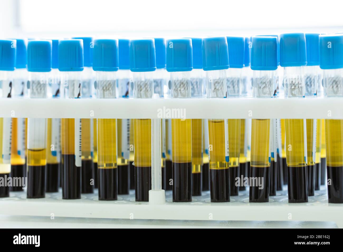 Steamcell Lab Steamcell High Resolution Stock Photography and Images - Alamy
