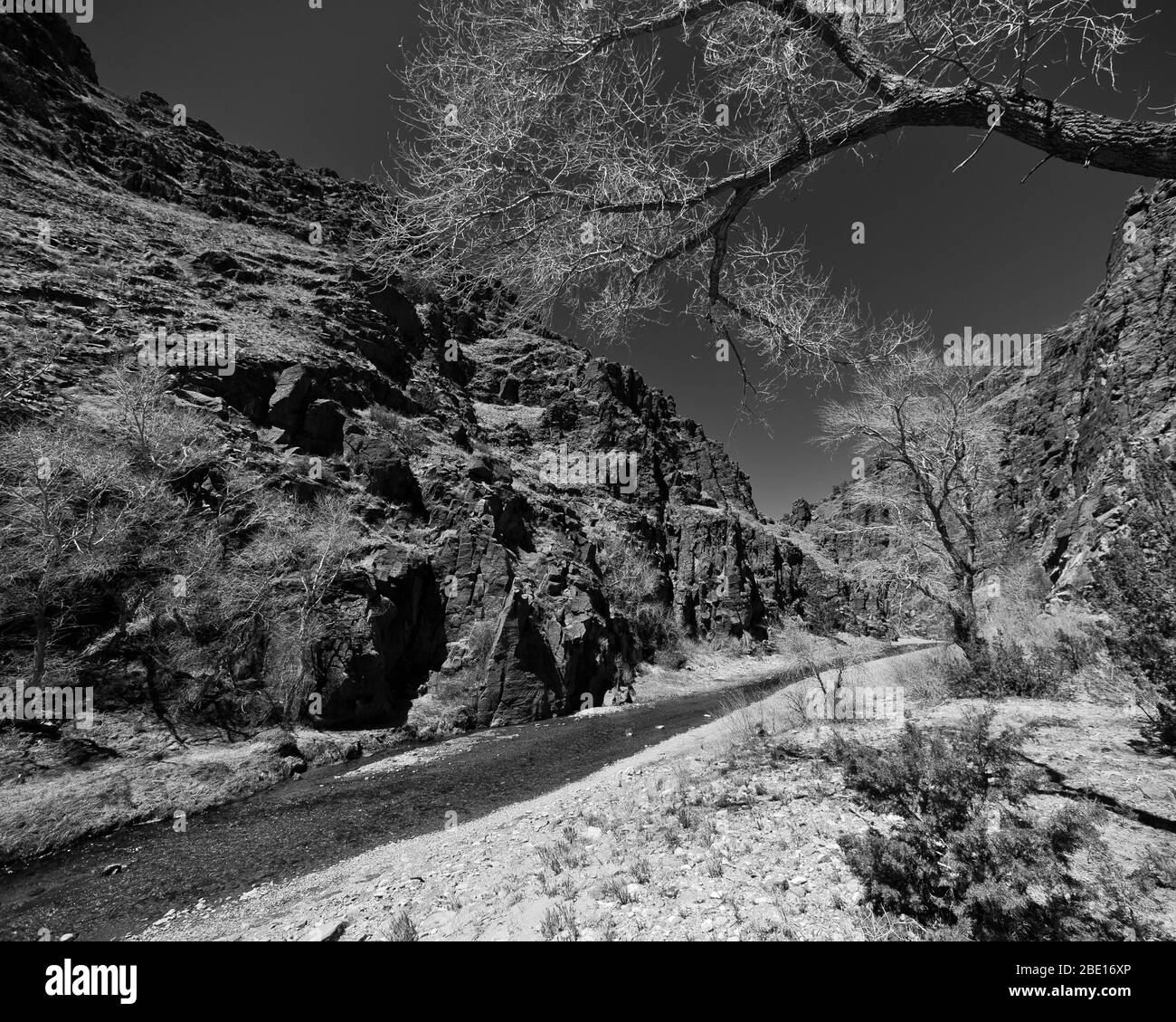 Monticello Canyon, New Mexico Stock Photo - Alamy