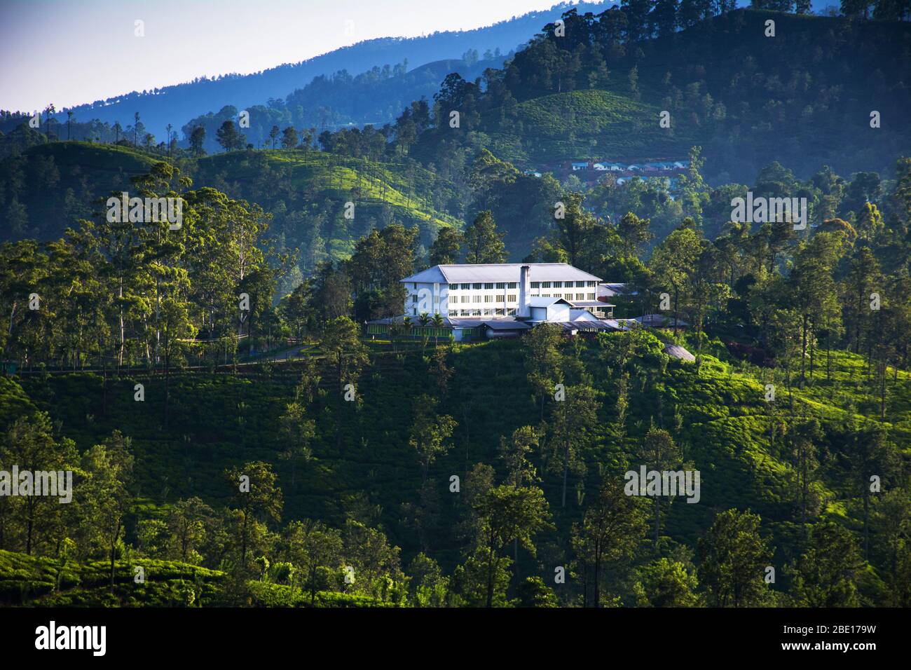 A tea factory surrounded by tea plantations in Ella, Sri Lanka Stock