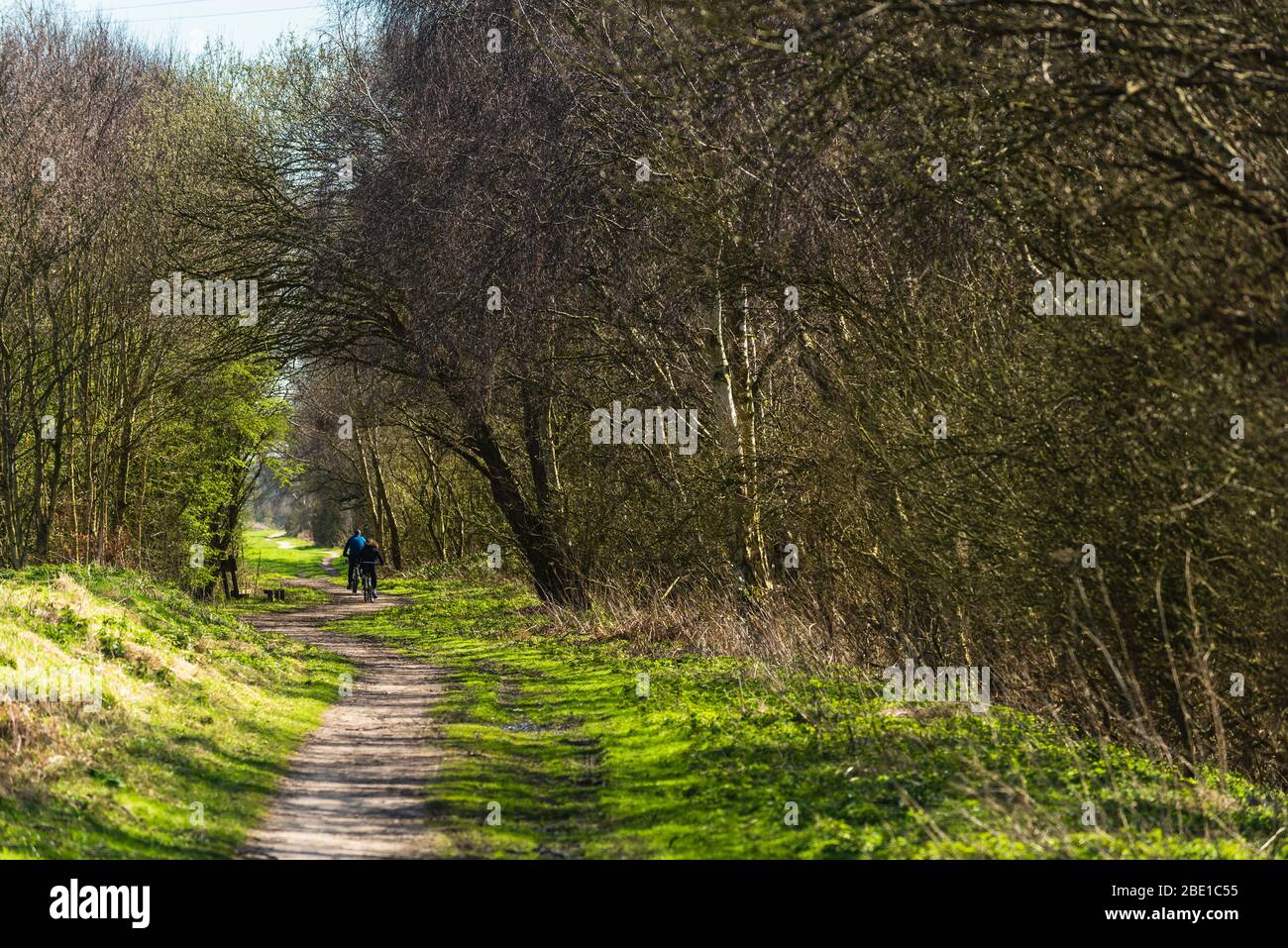 Cyclists on Cheshire Lines path, West Lancashire, part of the Trans-Pennine Trail Stock Photo