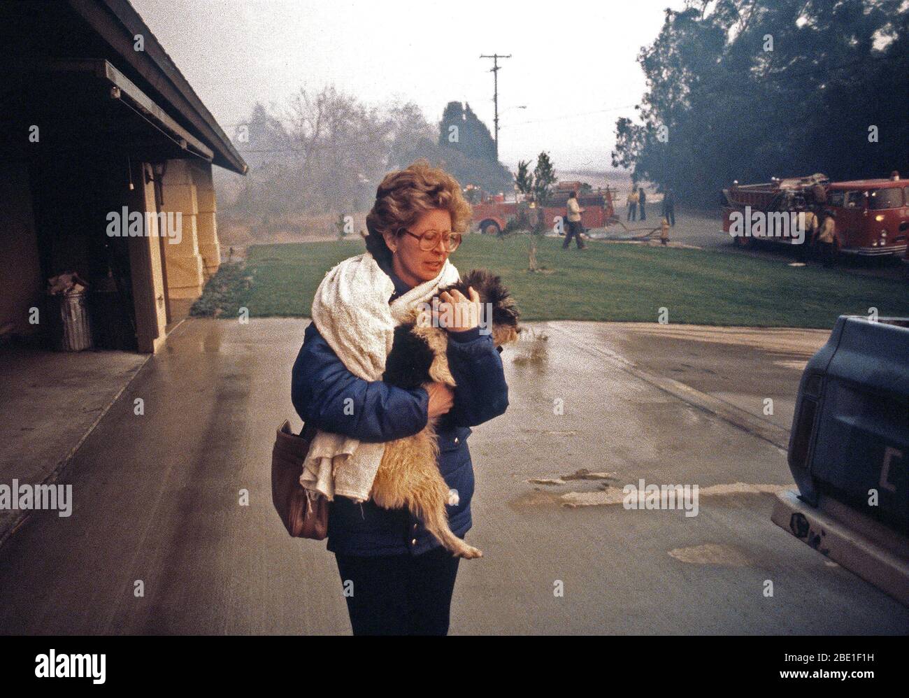 A resident flees from a house fire with her dog during the four-day Panorama brush fire, which started in canyons north of town and has been whipped out of control by 40-50 mph winds. Stock Photo