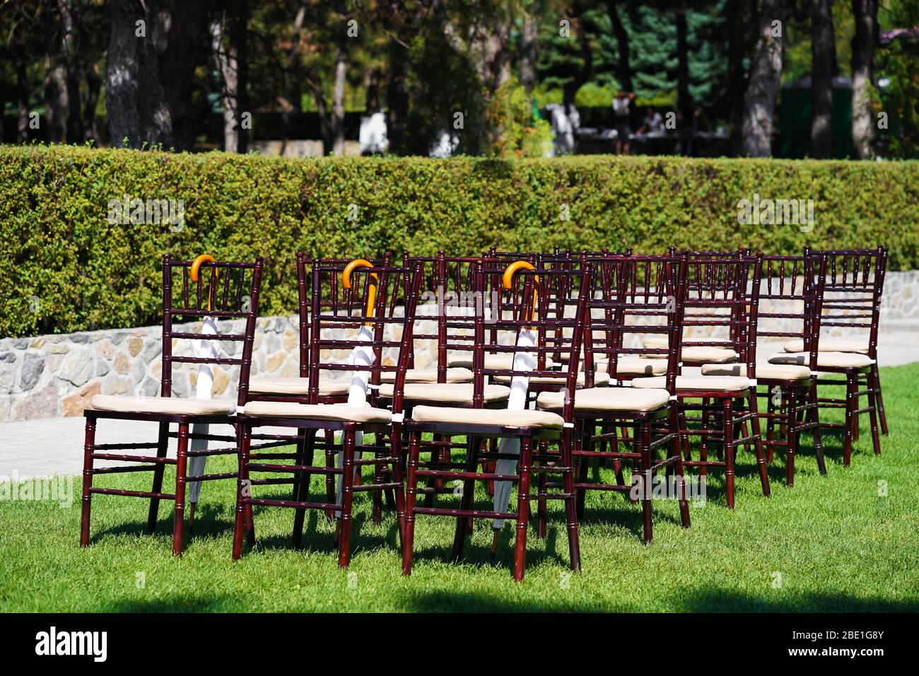 Rows of chairs for guests at an open-air wedding ceremony Stock Photo ...