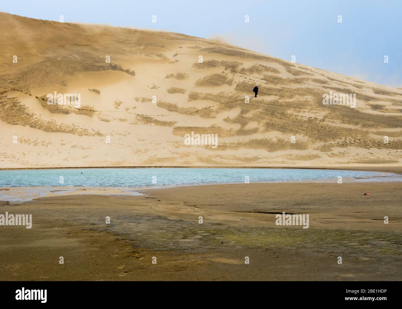 Man climbing up a sand dune in Tottori, Japan Stock Photo - Alamy