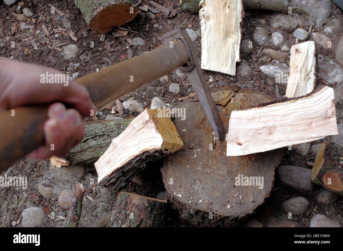 man with an old axe chops firewood log Stock Photo Alamy