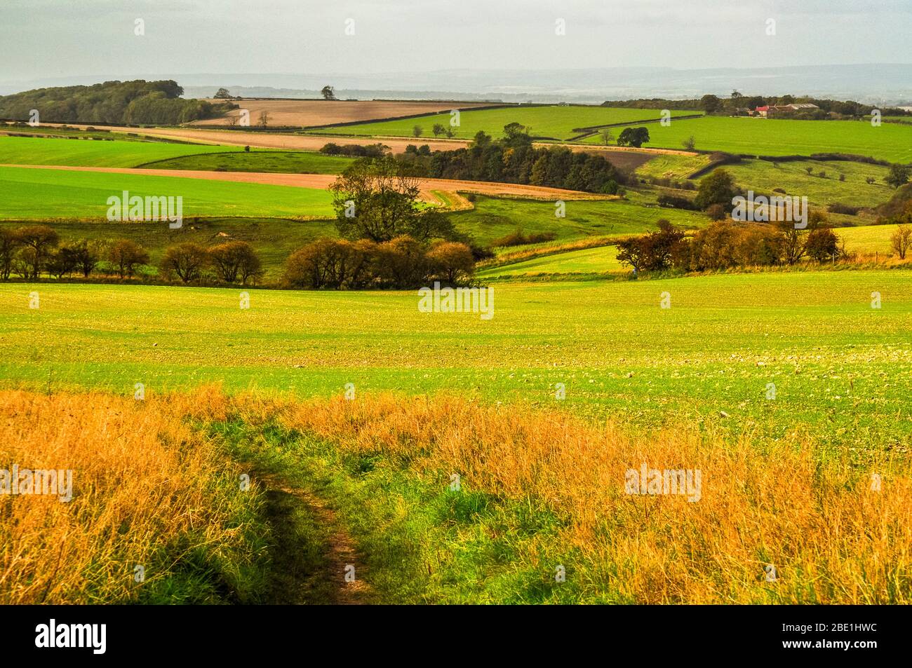 Fields on Wharram Percy Wold with path leading to Wharram Percy Deserted Medieval Village in the Yorkshire Wolds Stock Photo