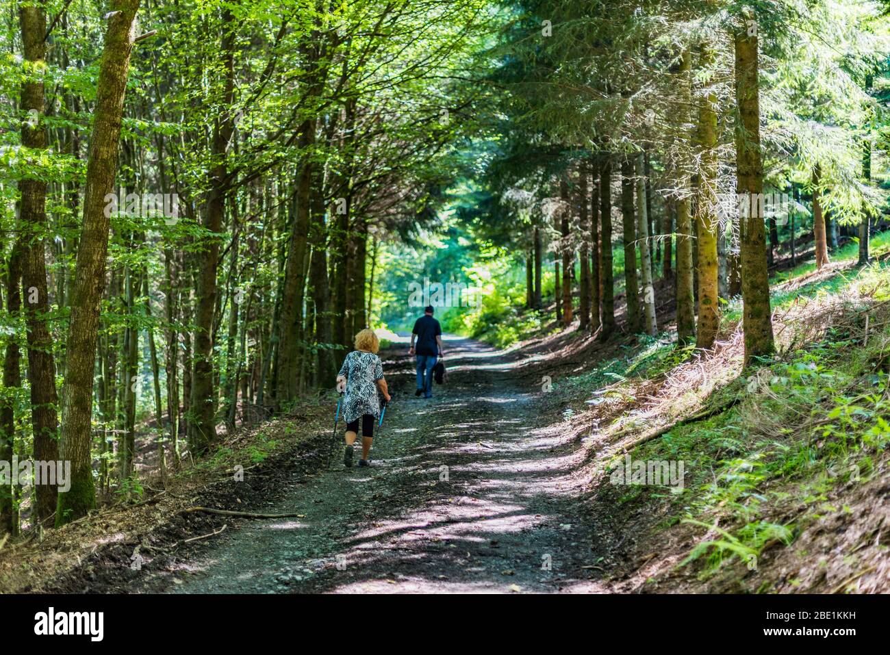 hiking trail in low mountain range sauerland, germany Stock Photo