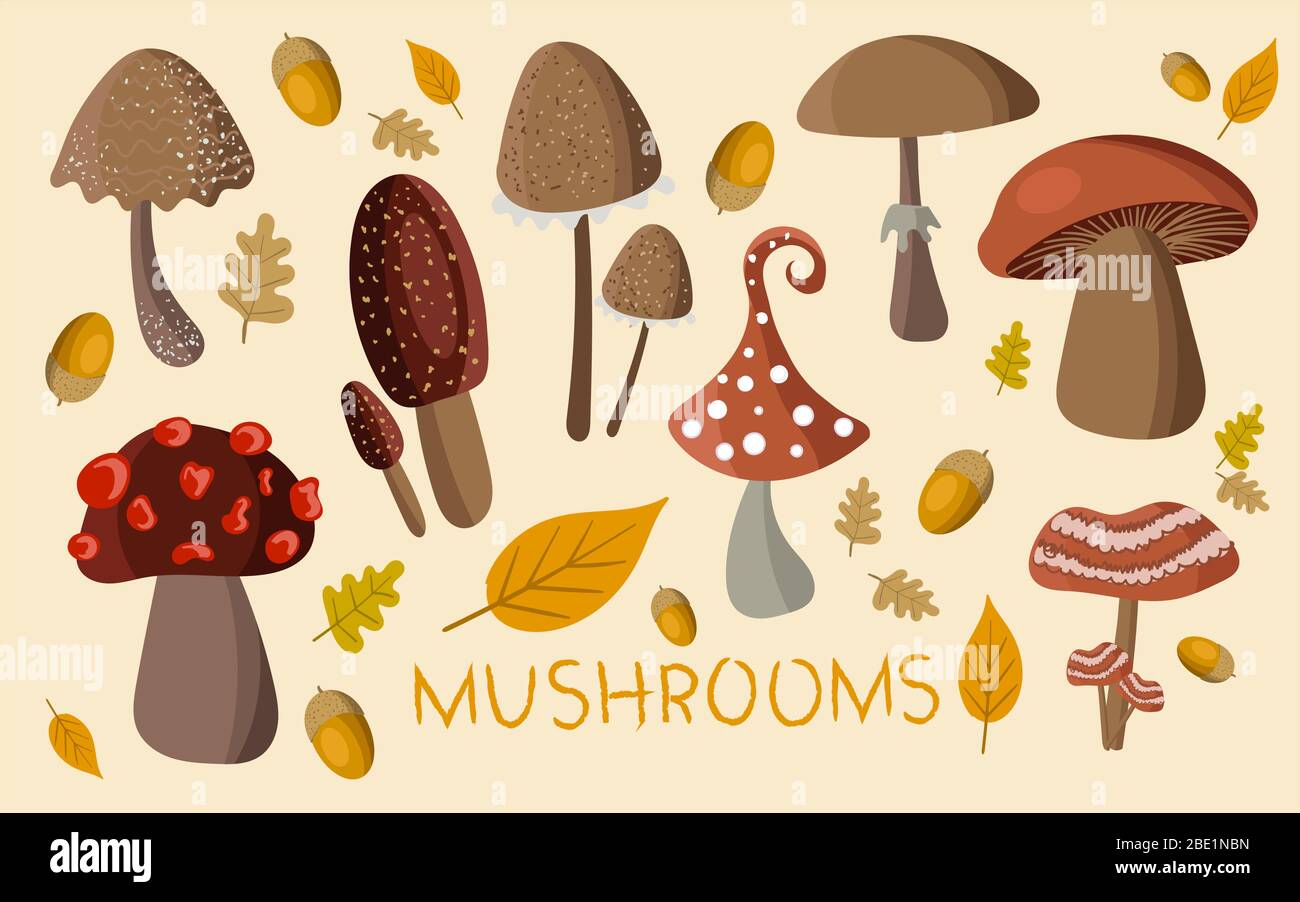 Cute mushrooms collection on background. Mushroom stickers for children