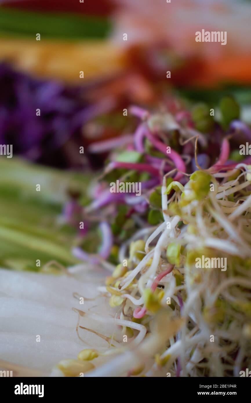 Fresh ingredients for Gỏi cuốn, Vietnamese spring roll Stock Photo